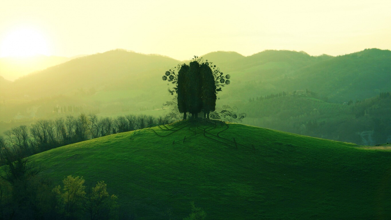 Деревья на холме обои