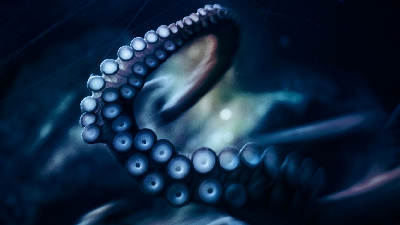 Щупальце обои