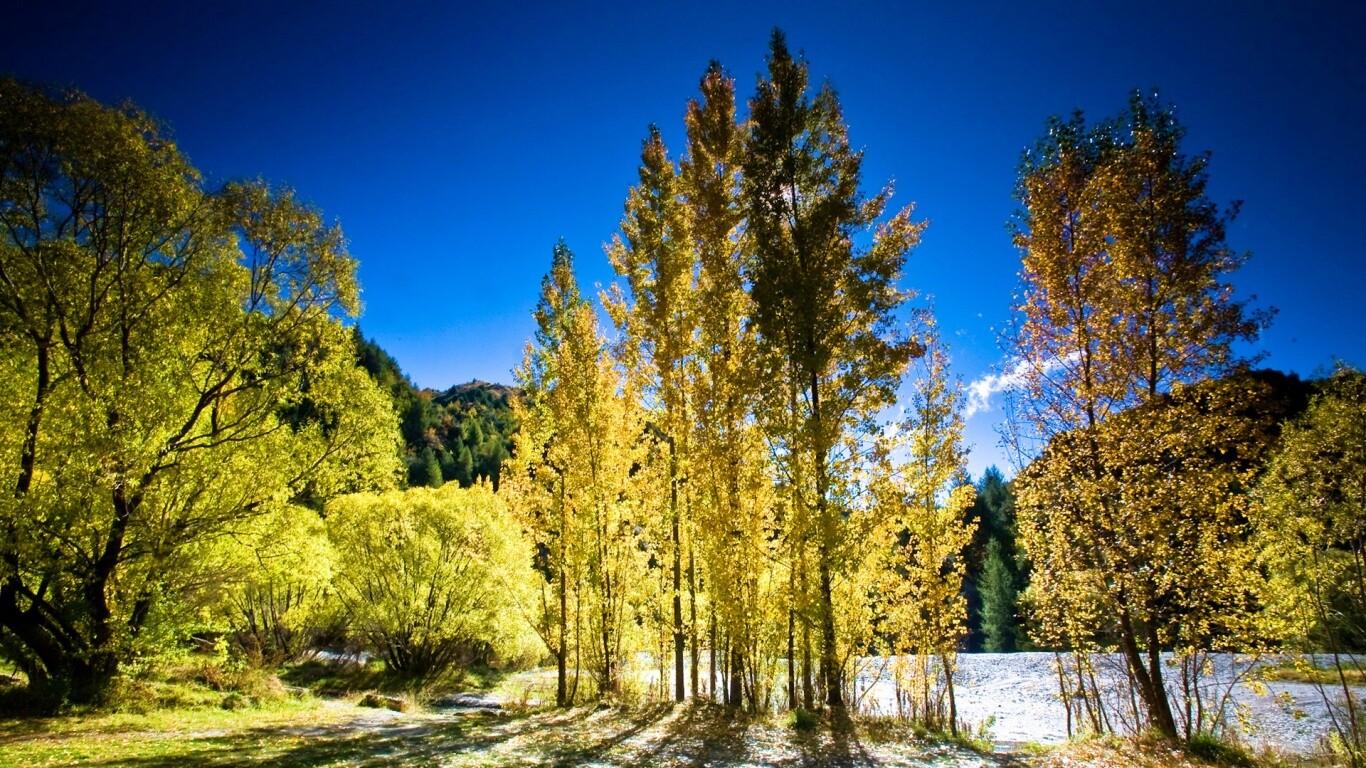 Осень в Новой Зеландии обои