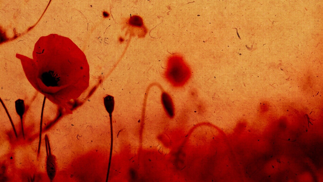 Кровавые цветы в стиле ретро обои