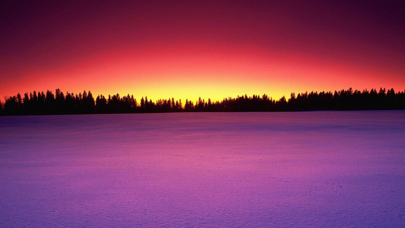 Восход над заснеженным лесом обои