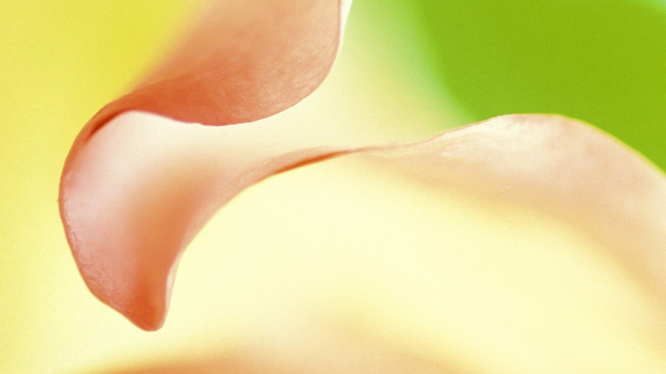 Оттенки природы обои