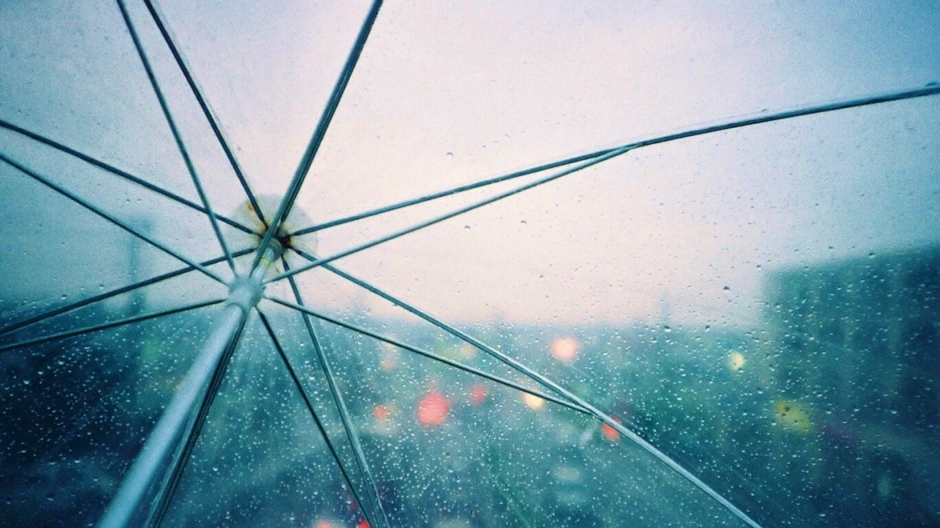 Вид сквозь прозрачный зонтик обои