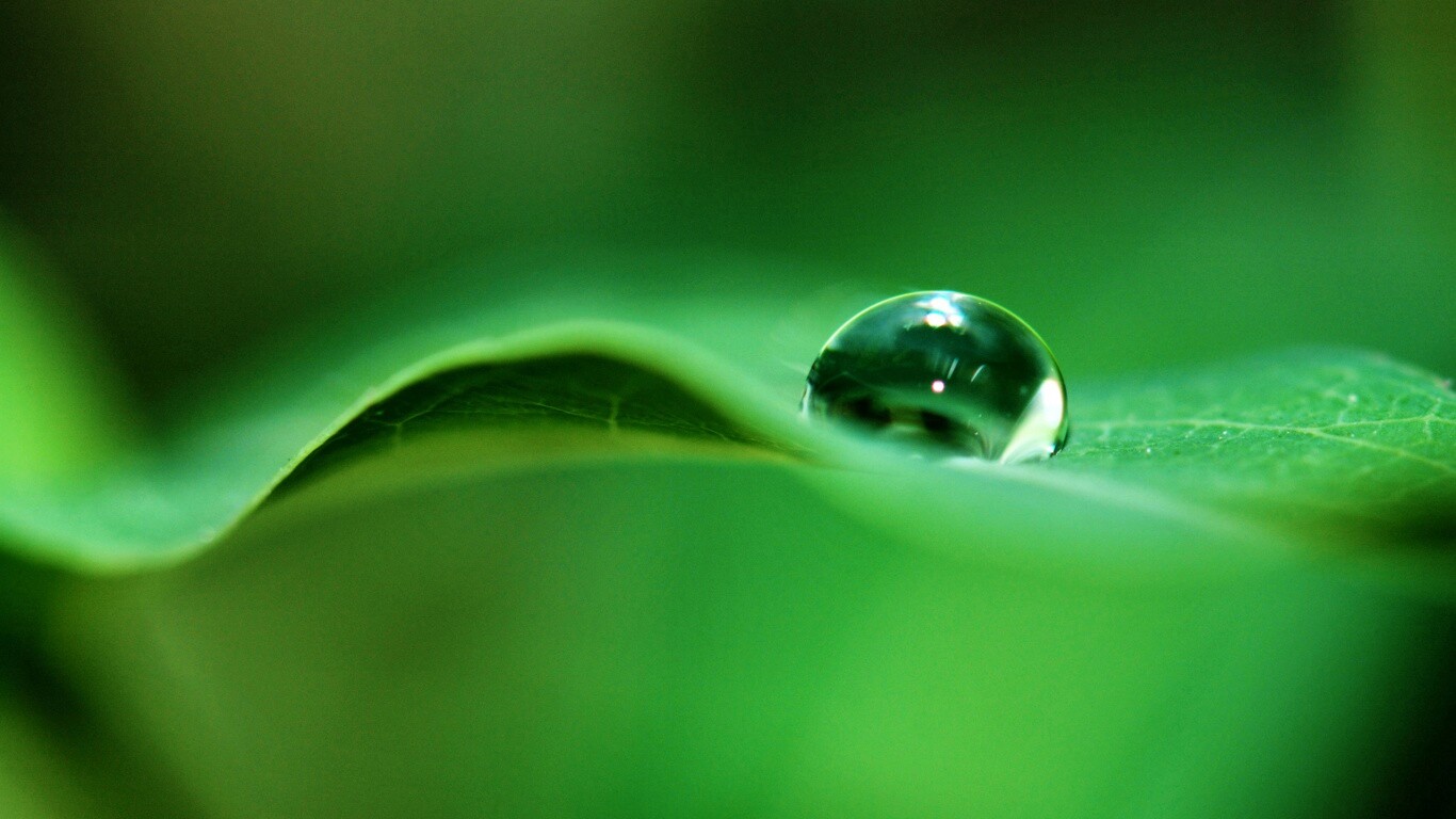Фотография капли воды в макро обои