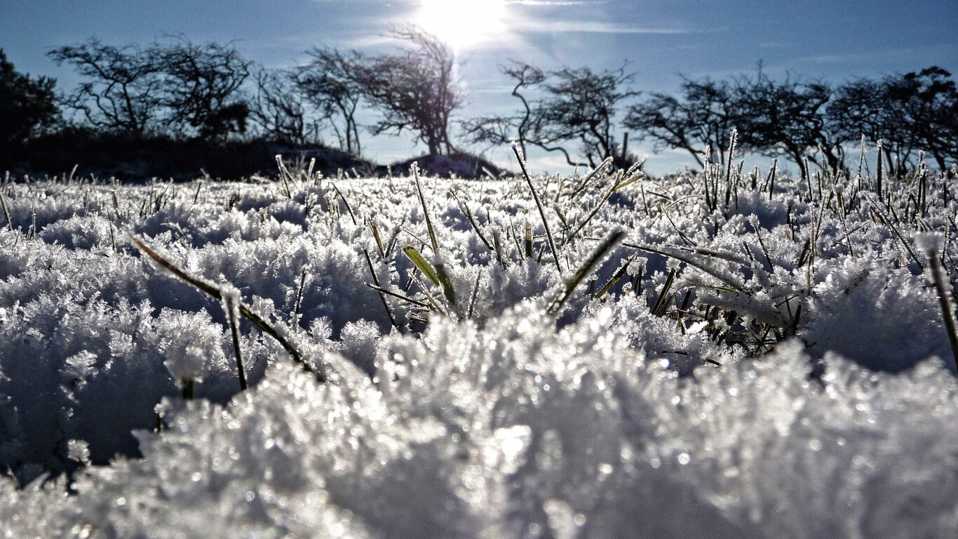 Утренний мороз обои