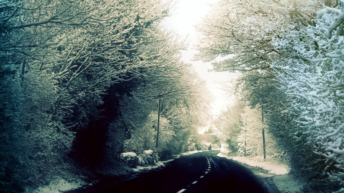 Дорога через зимний лес обои