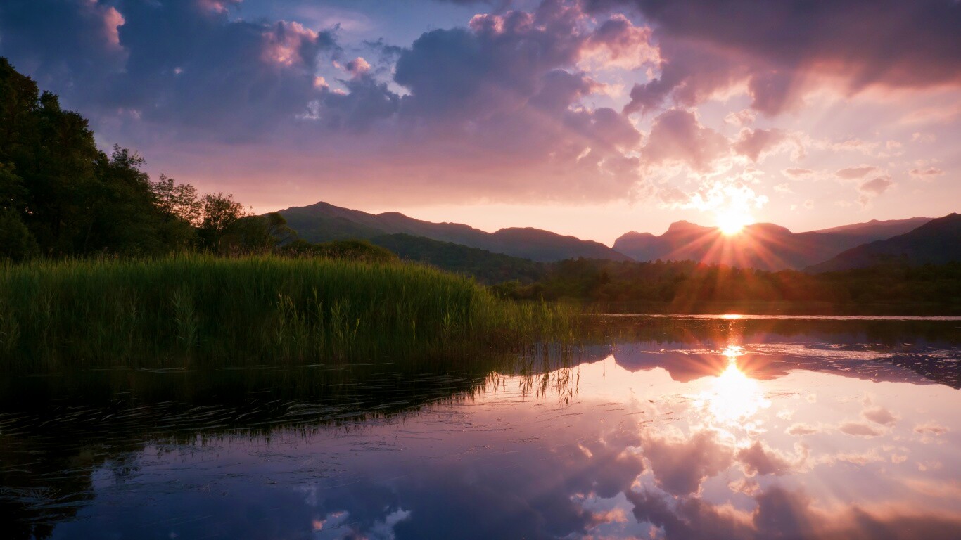 Закат за лесом обои