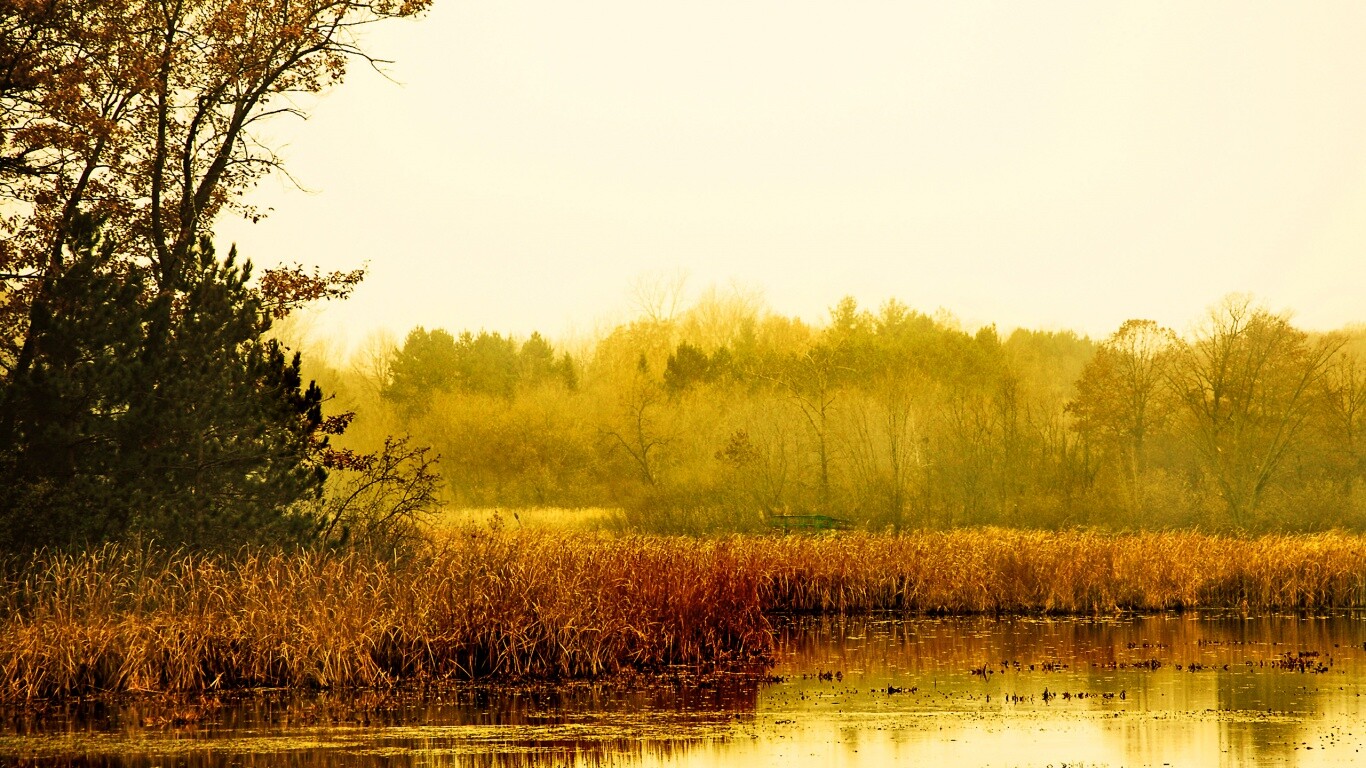 Живописные болота обои