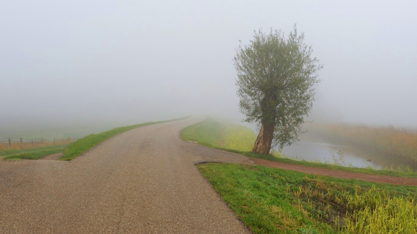 Дорога растворяется в тумане обои