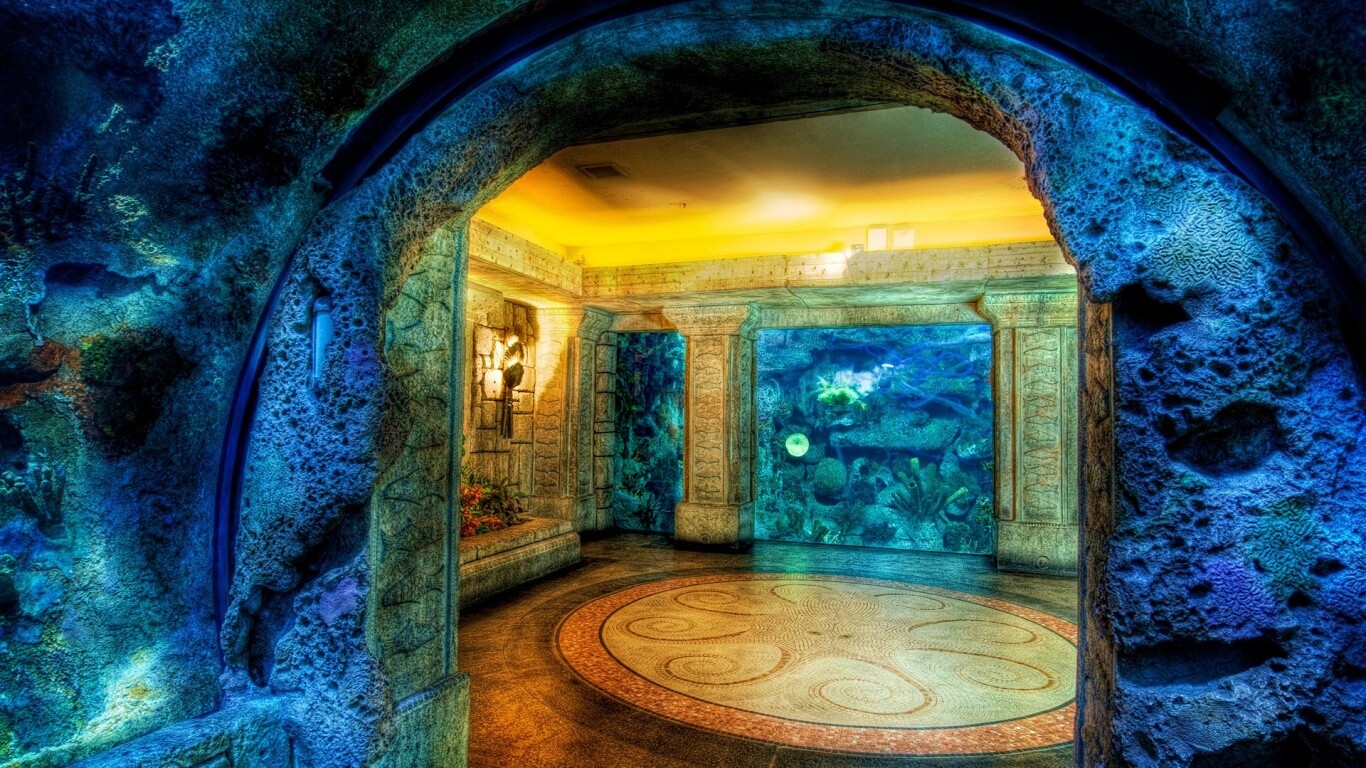 Аквариум обои