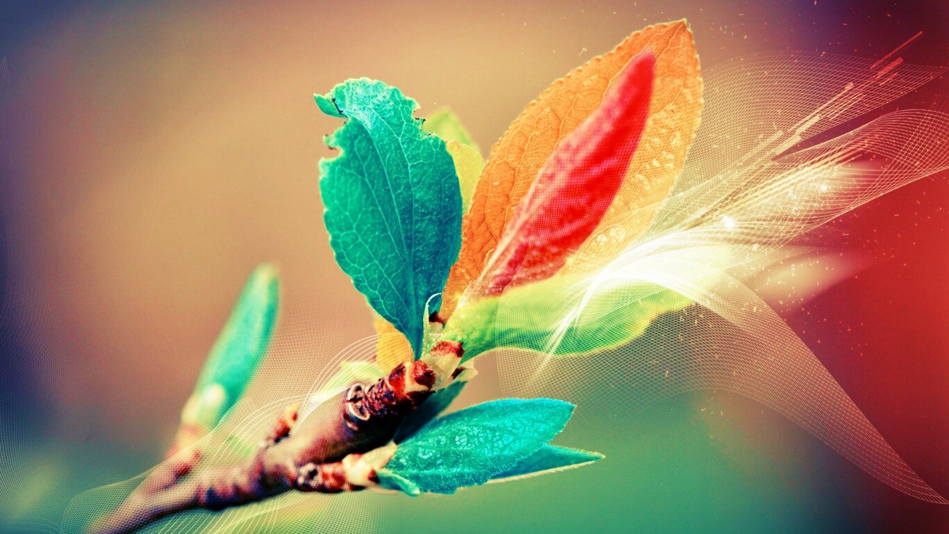 Разноцветные листья обои