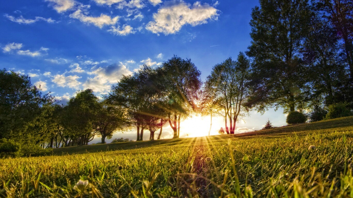 Лучи солнца на траве обои