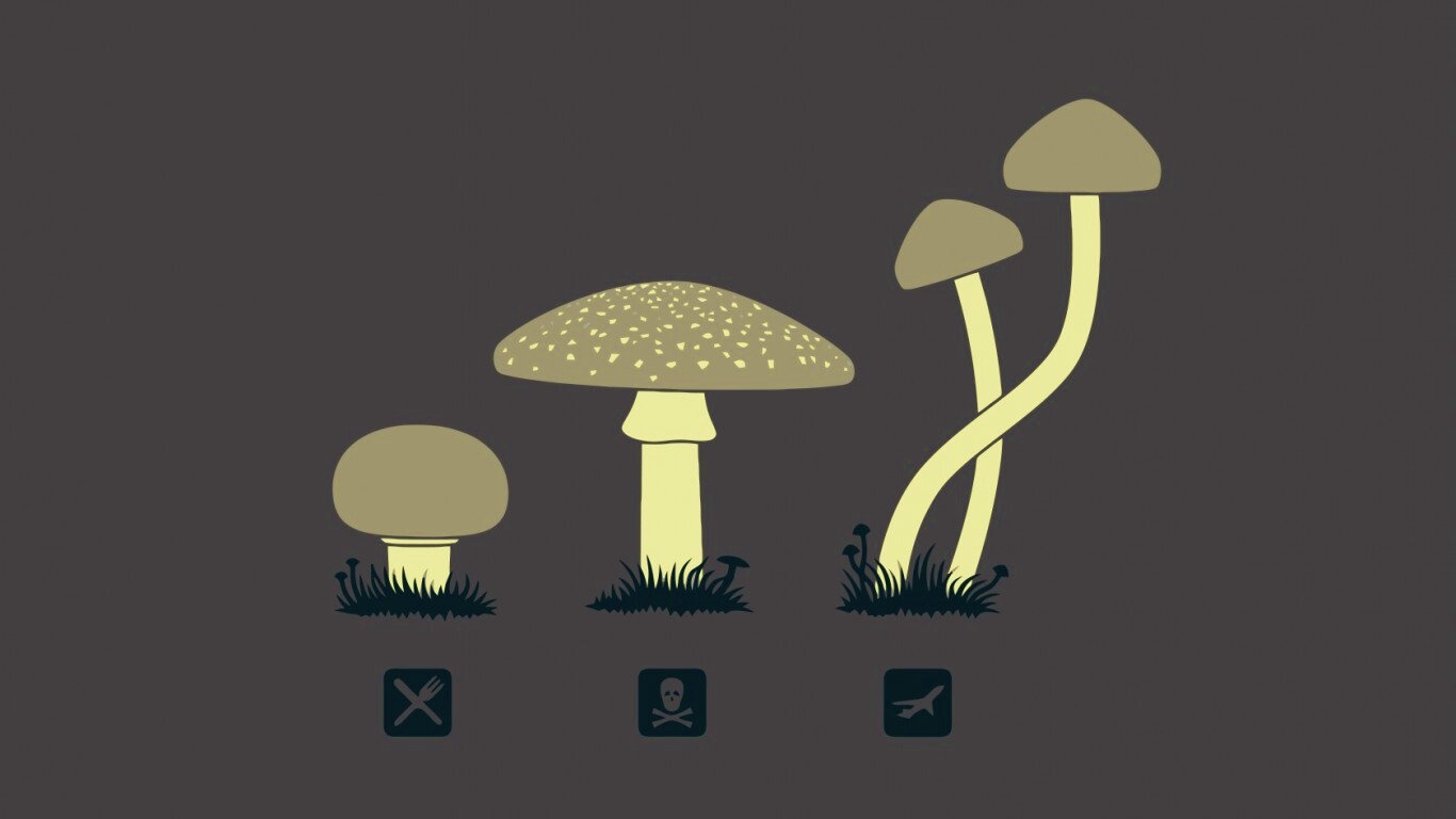 Грибочки обои