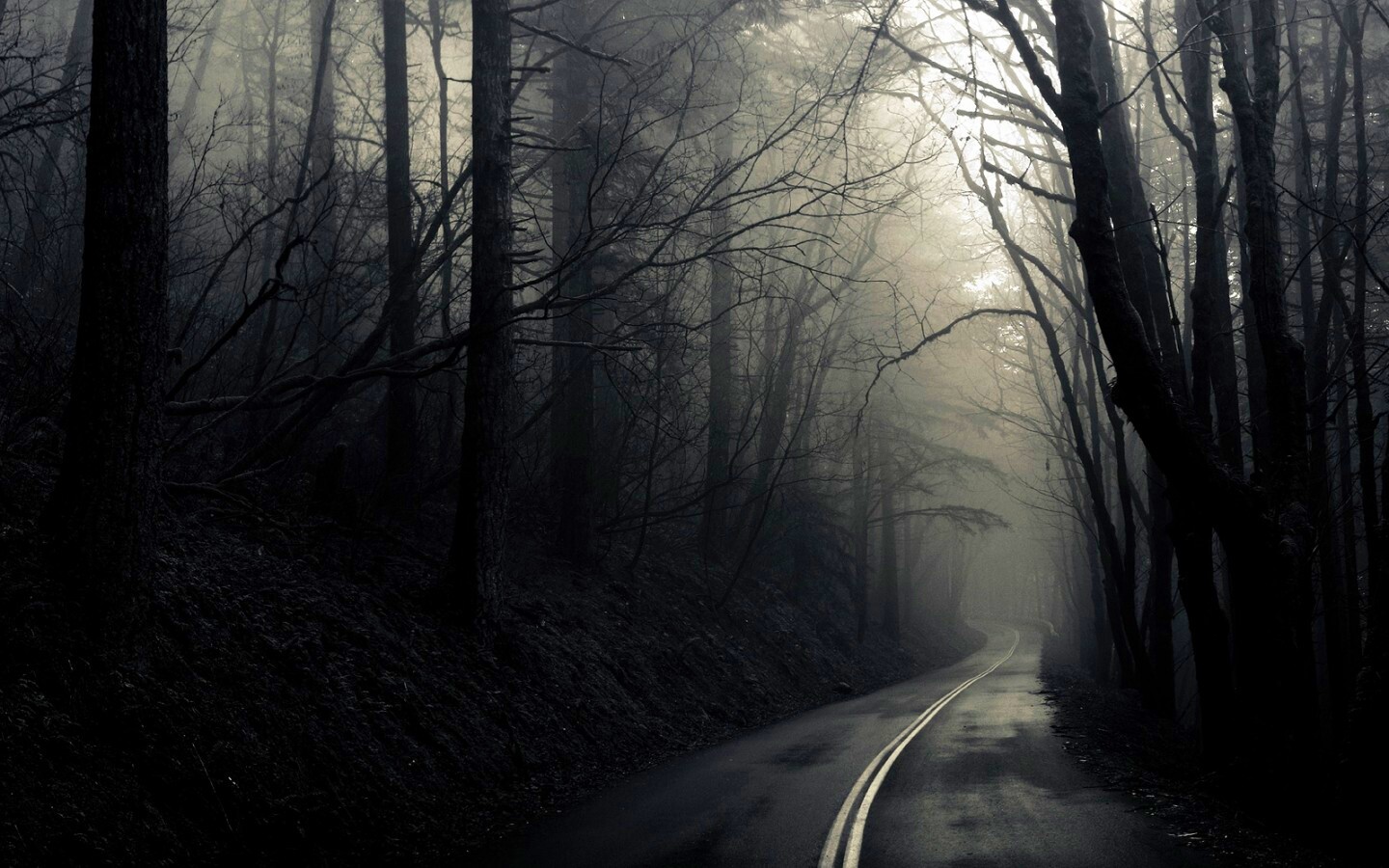 В туман обои