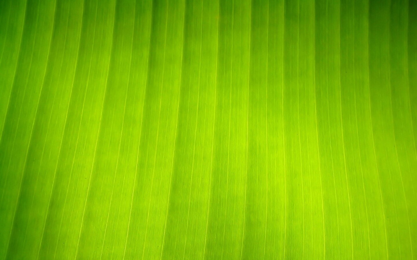 Травяные полосы обои