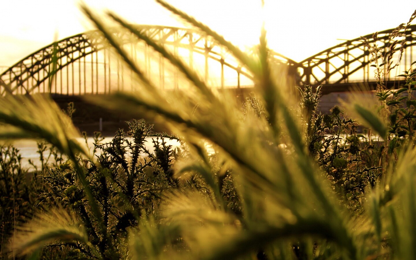 Железнодорожный мост обои