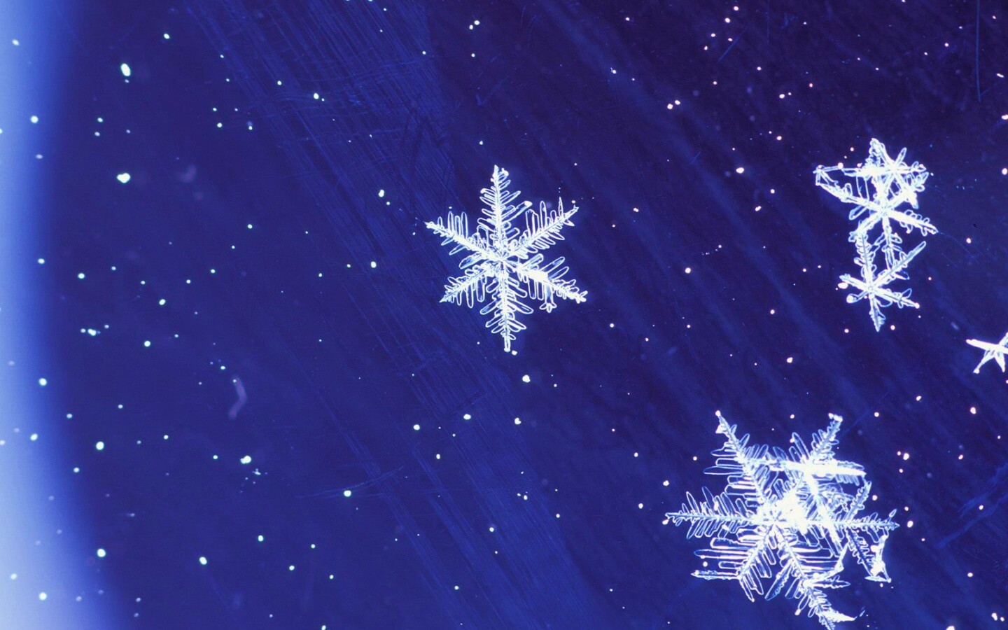 Снежинки обои