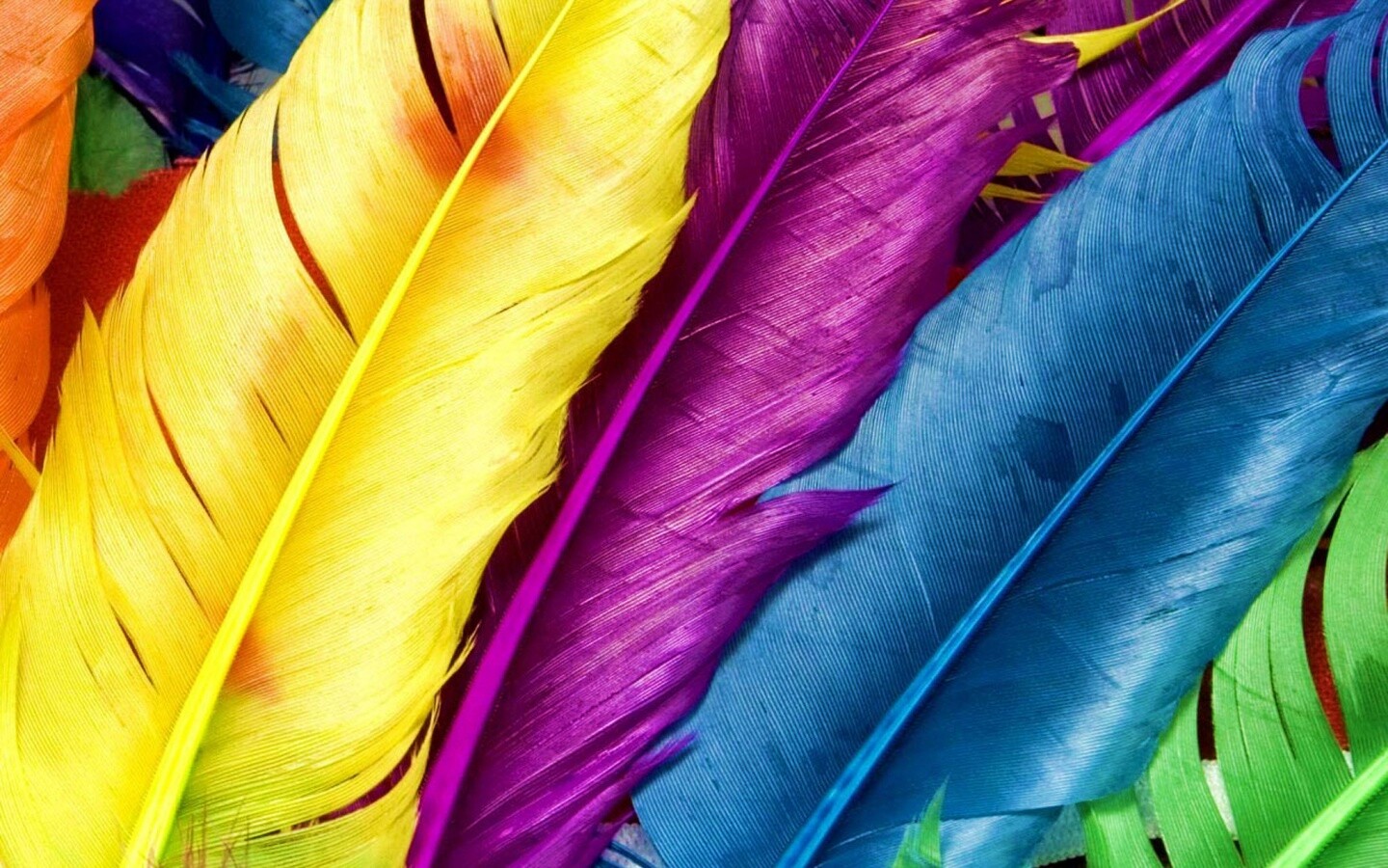 Разноцветные перья обои