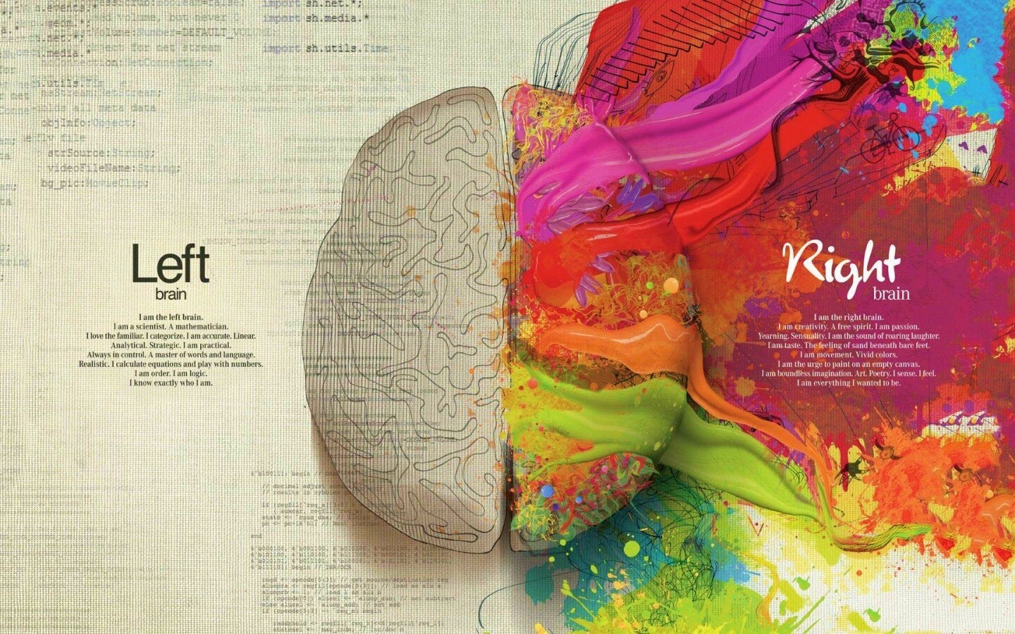 Различия левого и правого полушария обои
