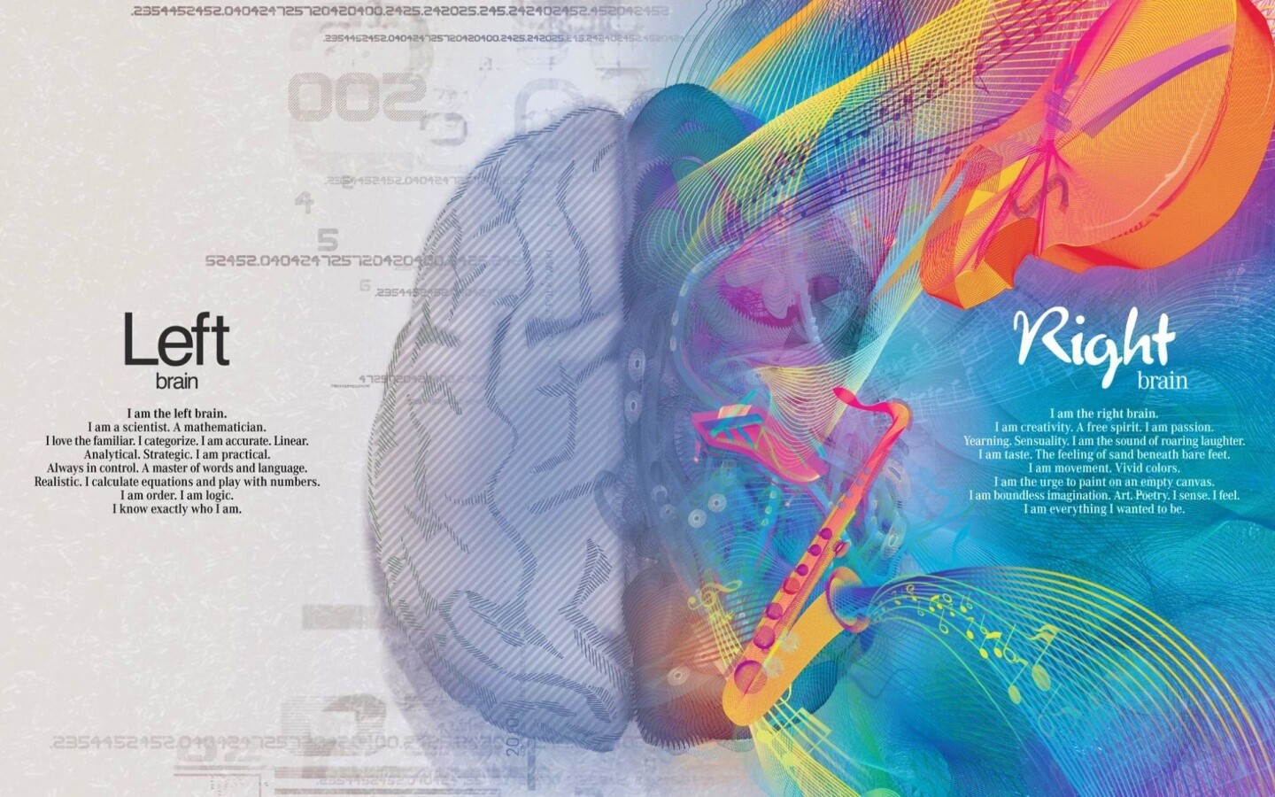 Левая и правая половина мозга обои