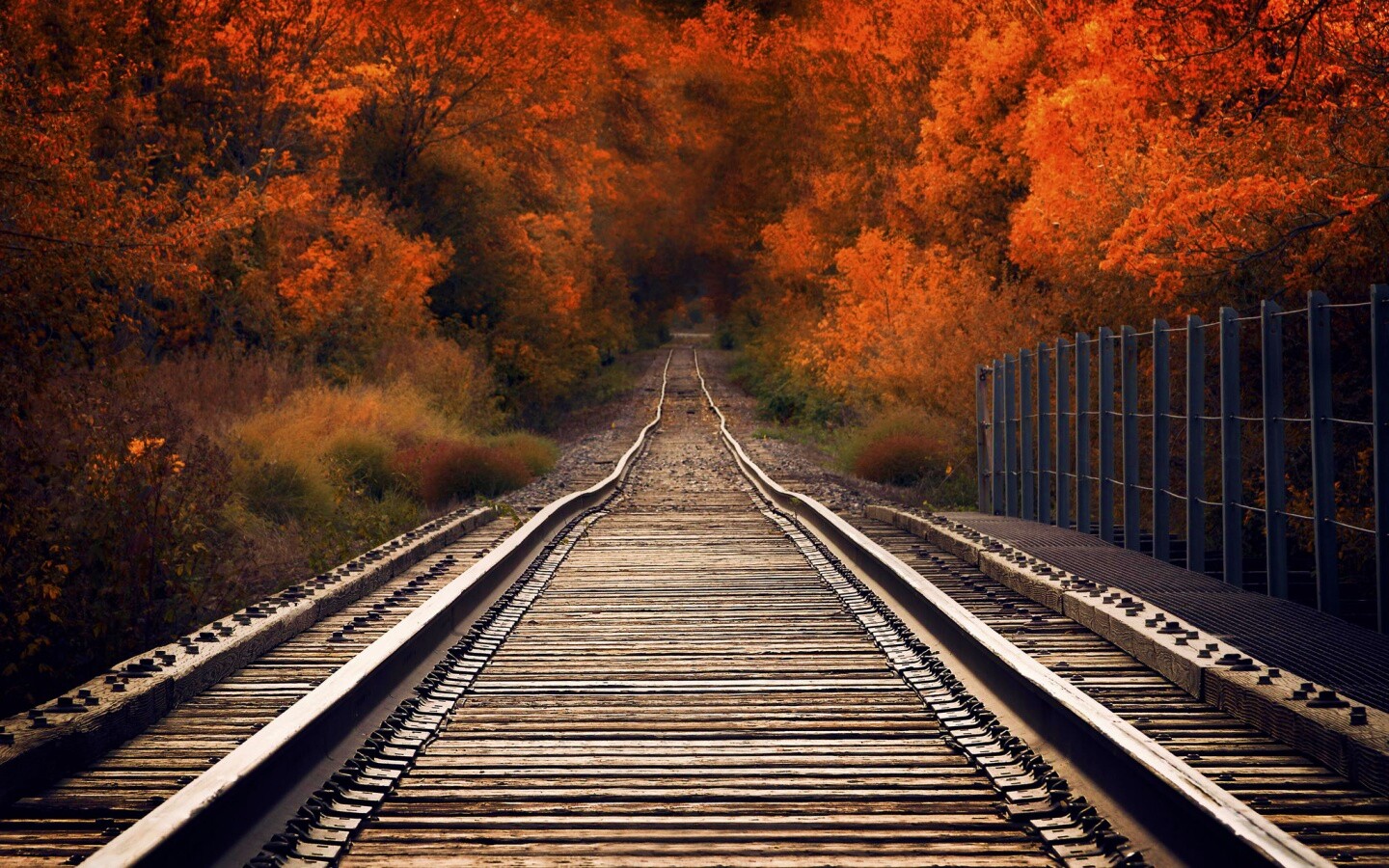 Железная дорога в осеннем лесу обои