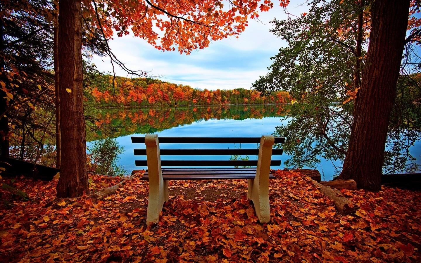 Вид на осеннее озеро обои