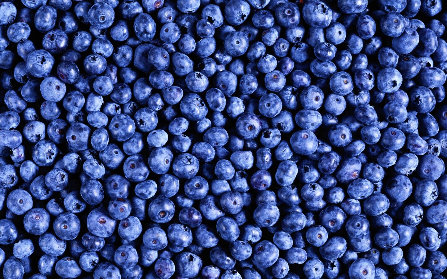 Черника обои