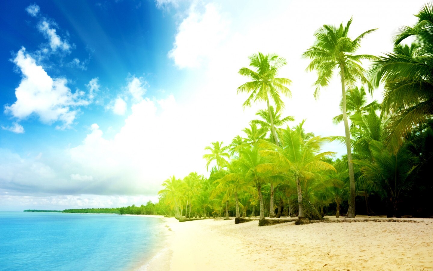 Тропическое побережье обои