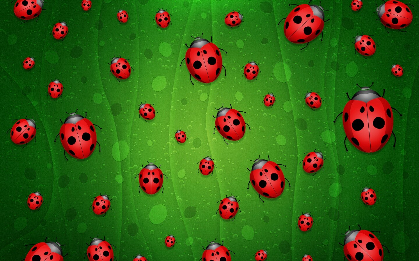 Божьи коровки обои