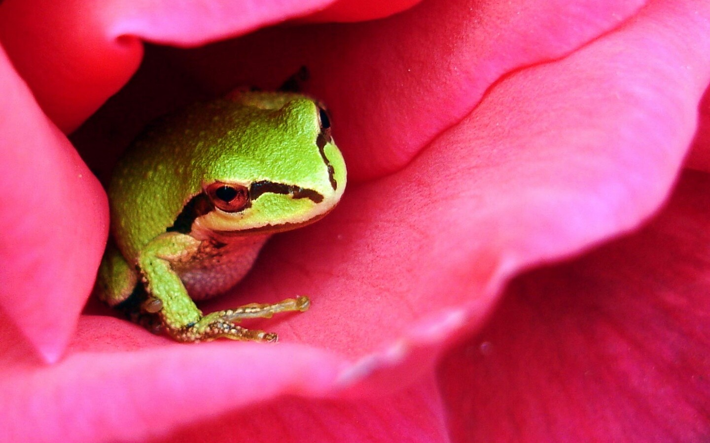 Куда это ты смотришь? обои