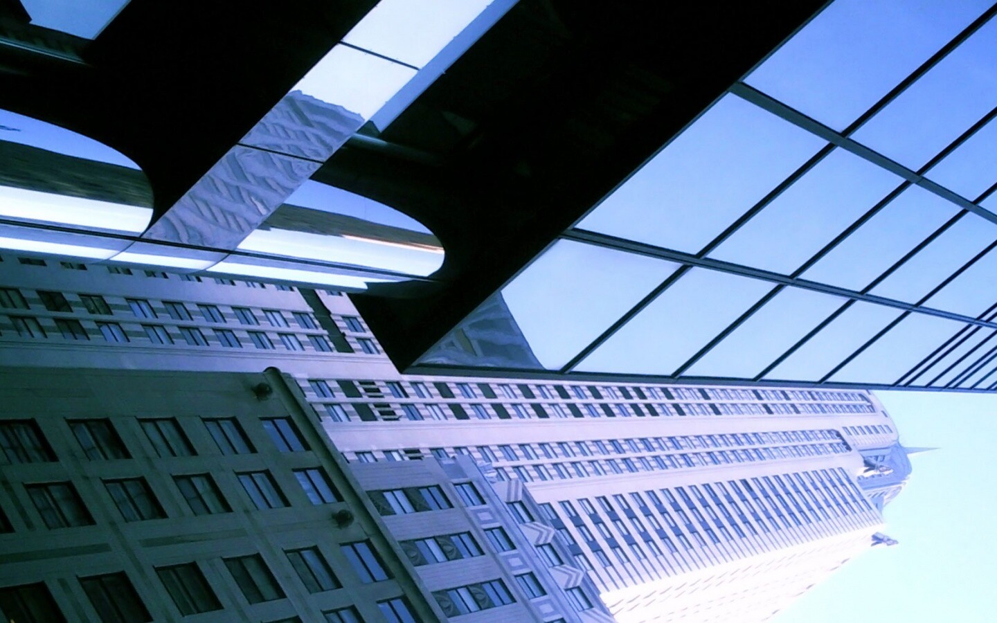 Взгляд вверх обои