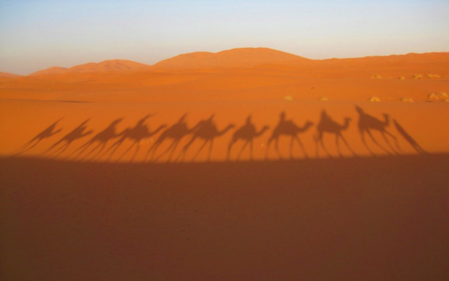 Караван обои