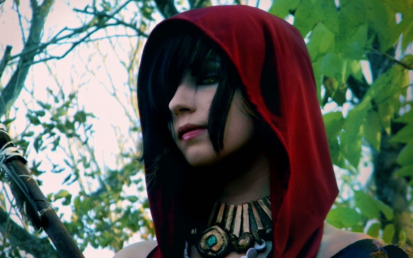 Косплей Морриган обои