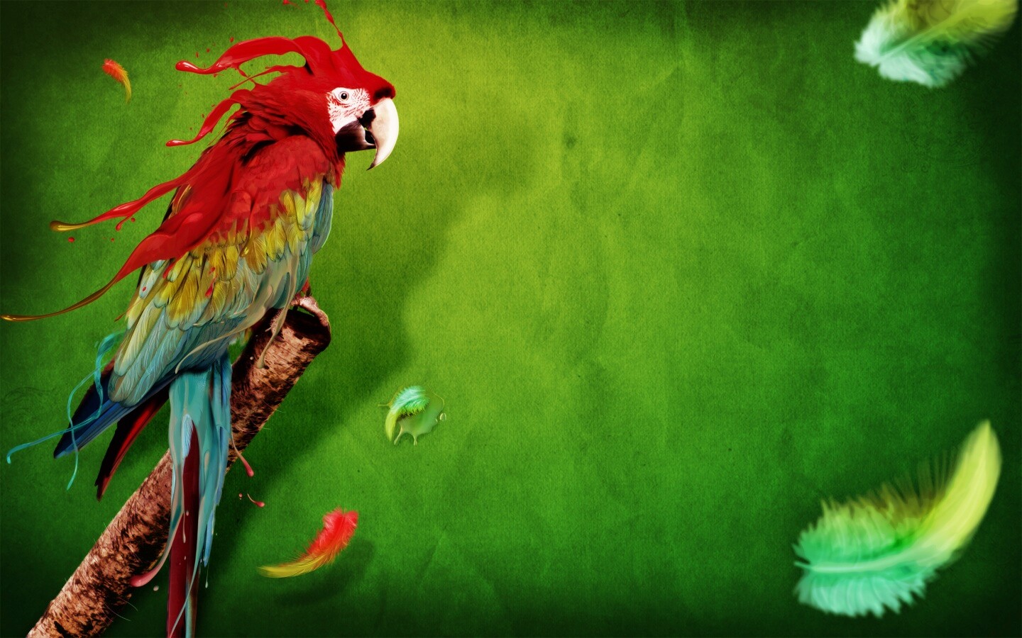 Попугай на ветке обои