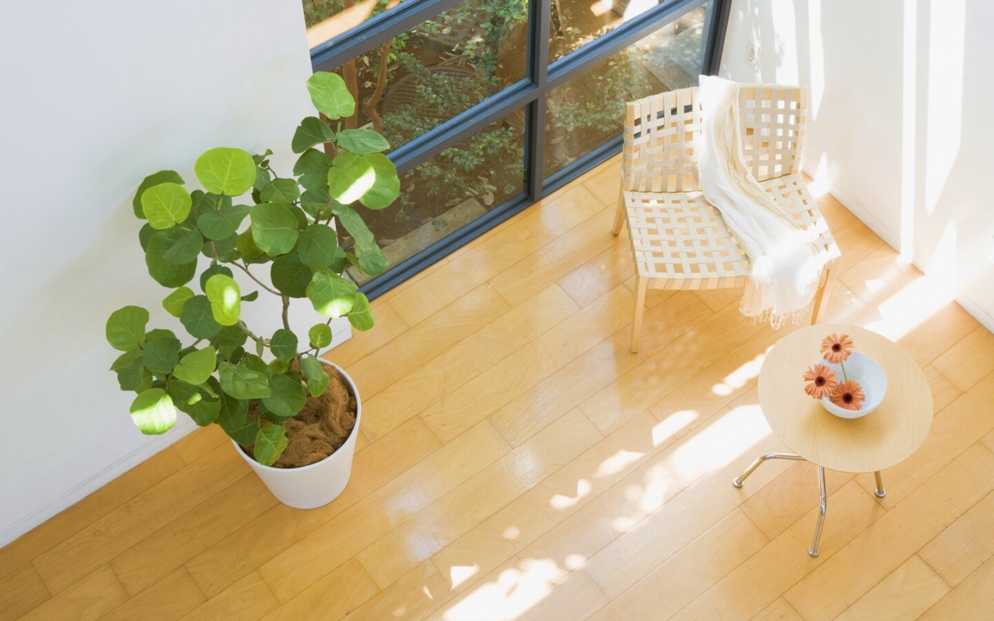 Стул, столик и цветы в комнате обои