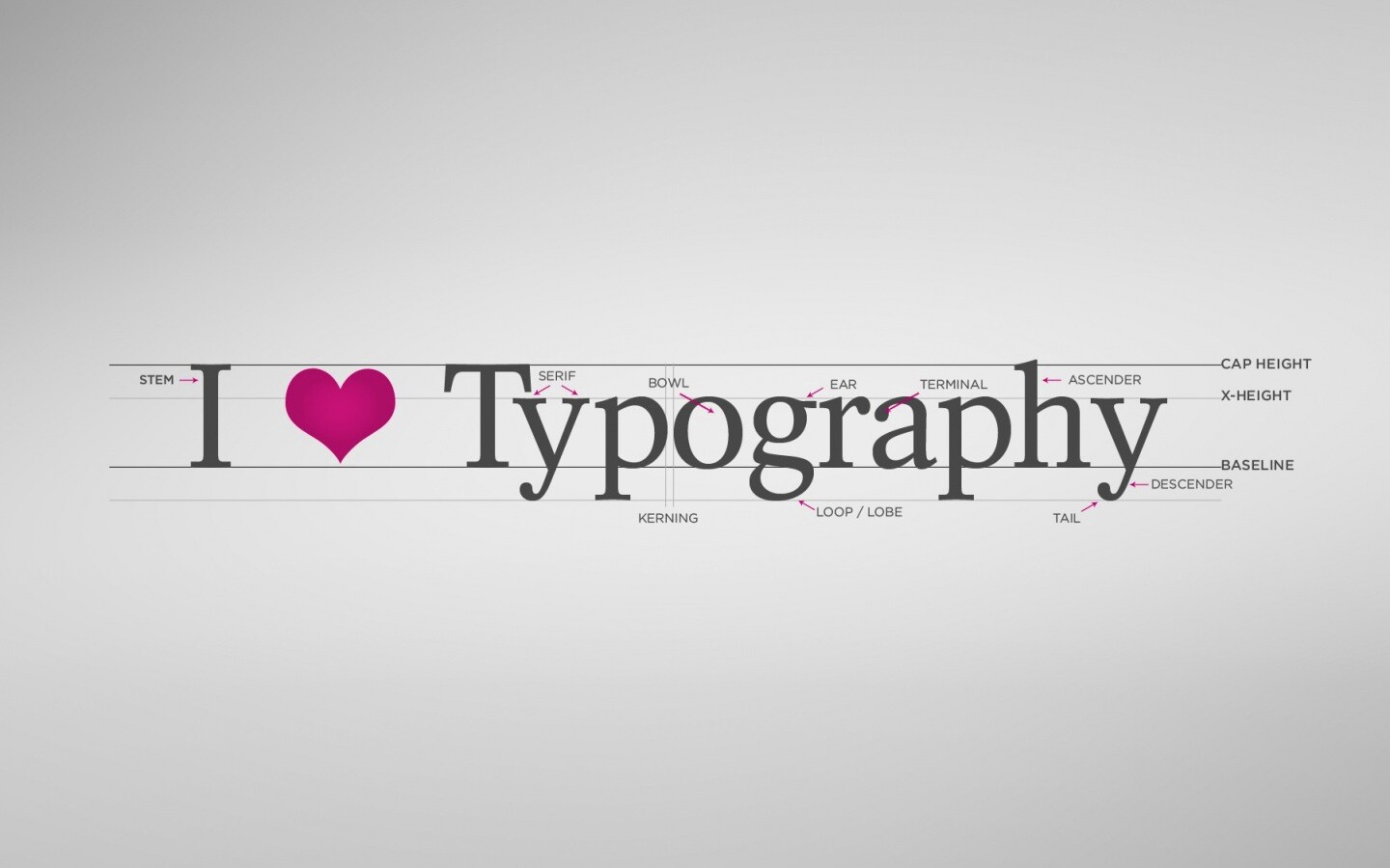 I love typography обои