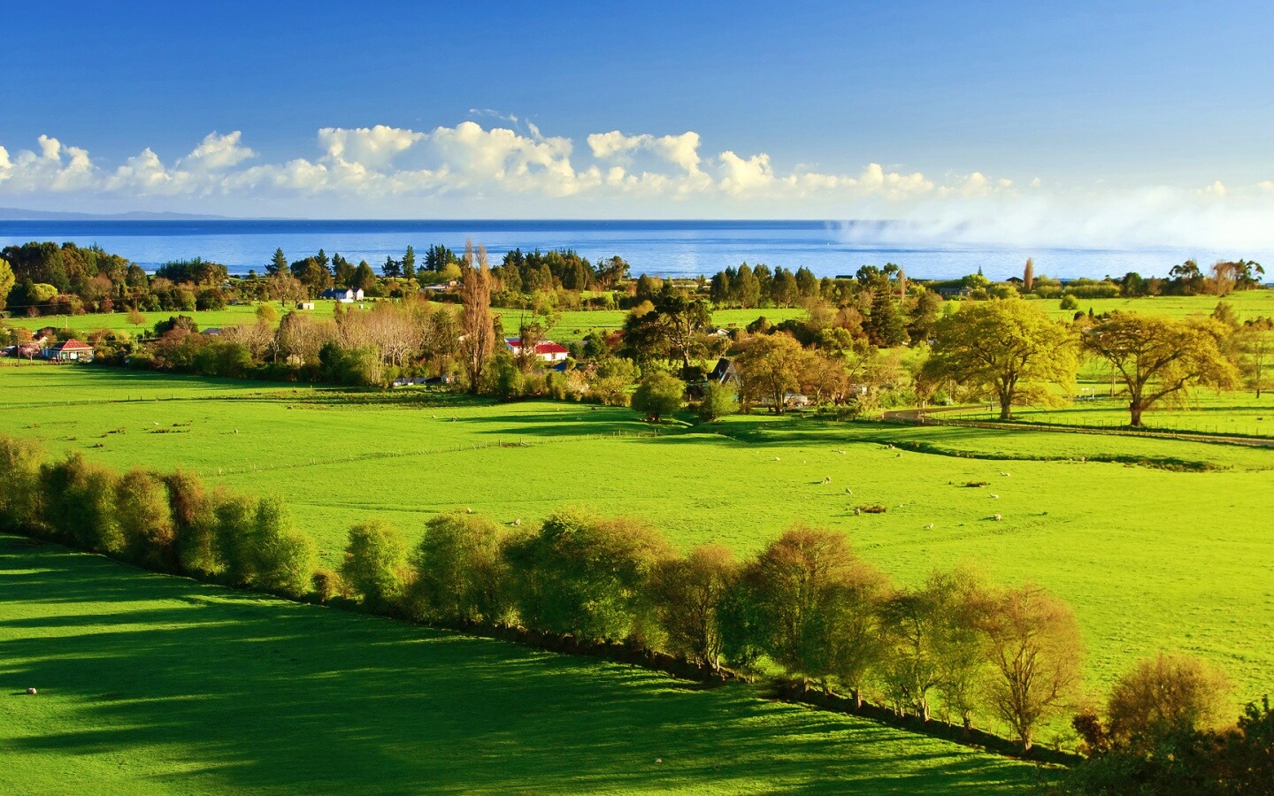 Сельская природа обои