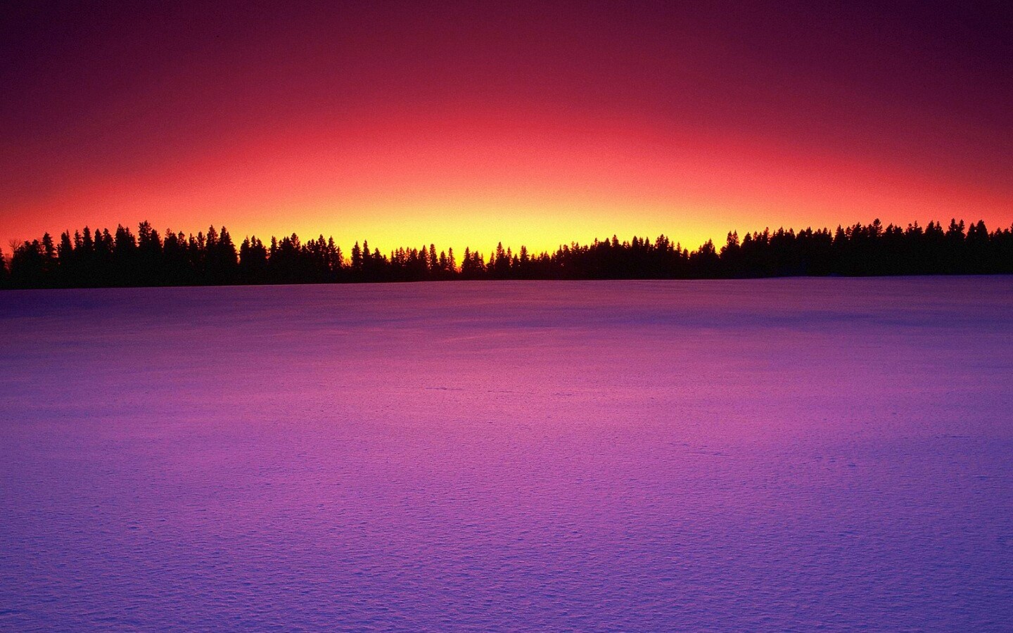 Восход над заснеженным лесом обои
