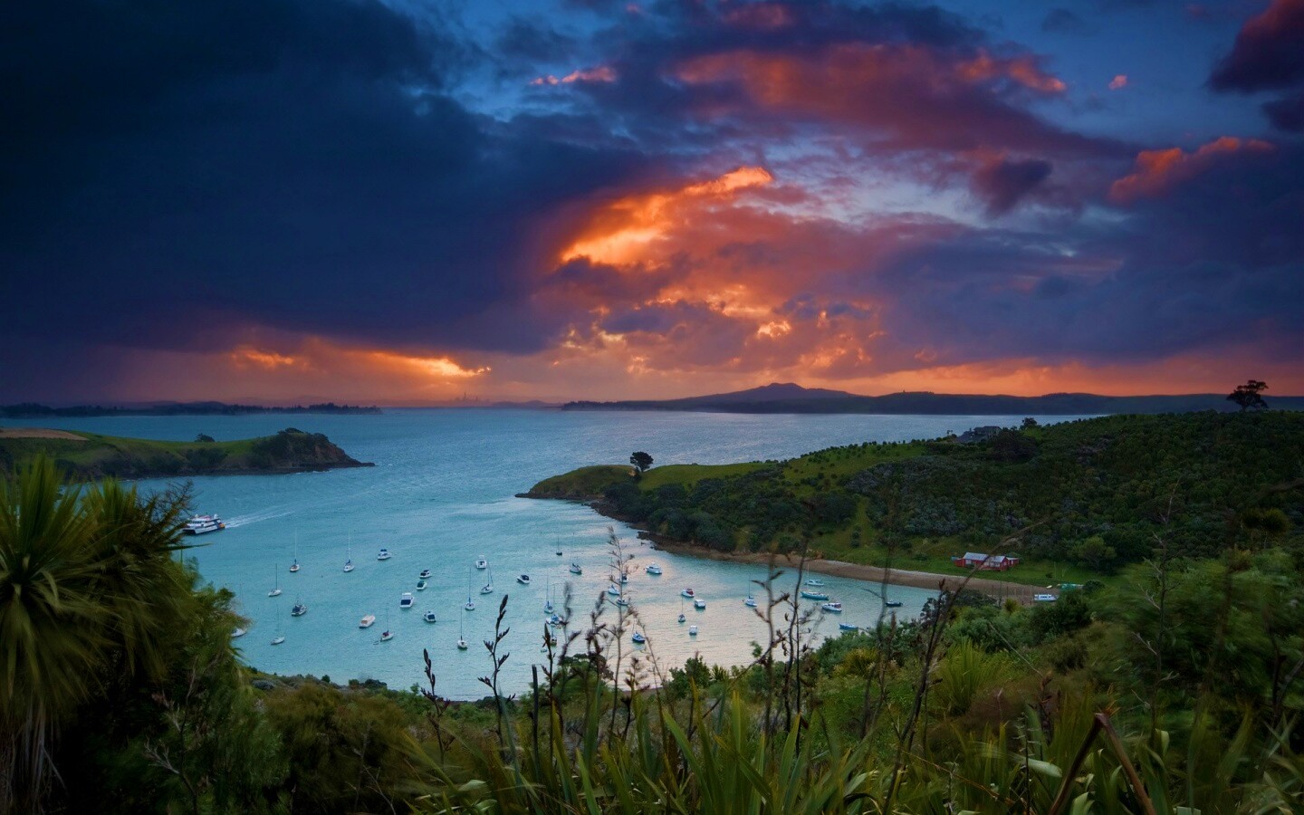 Waiheke Island, New Zealand обои