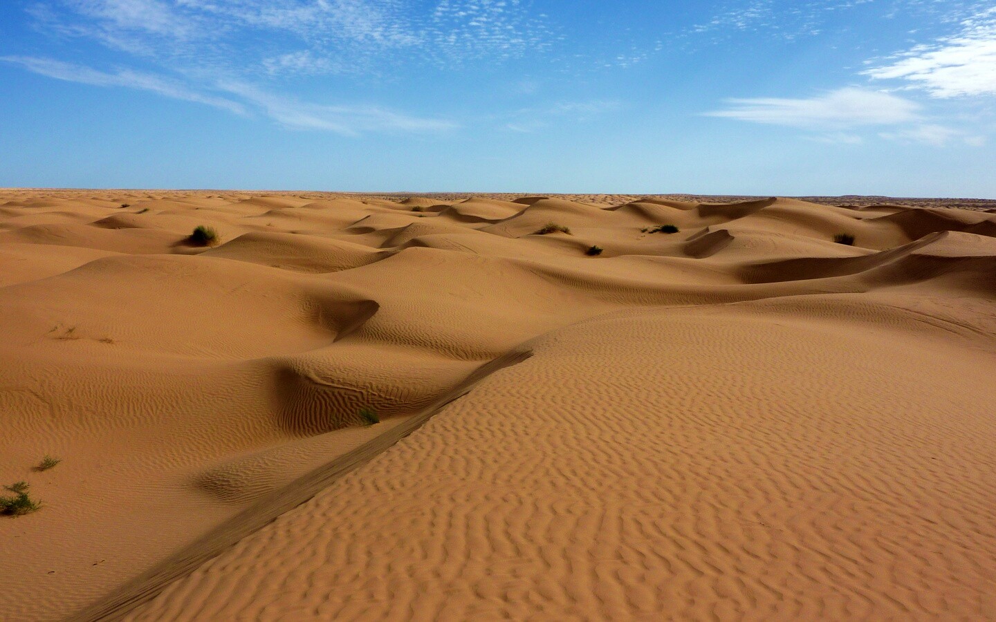 Пустыня до самого горизонта обои