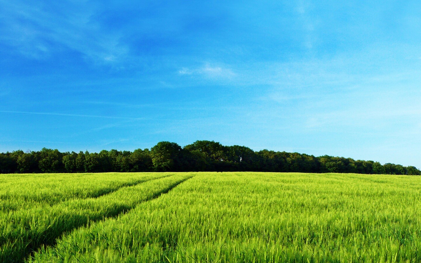 Следы колеи в поле обои