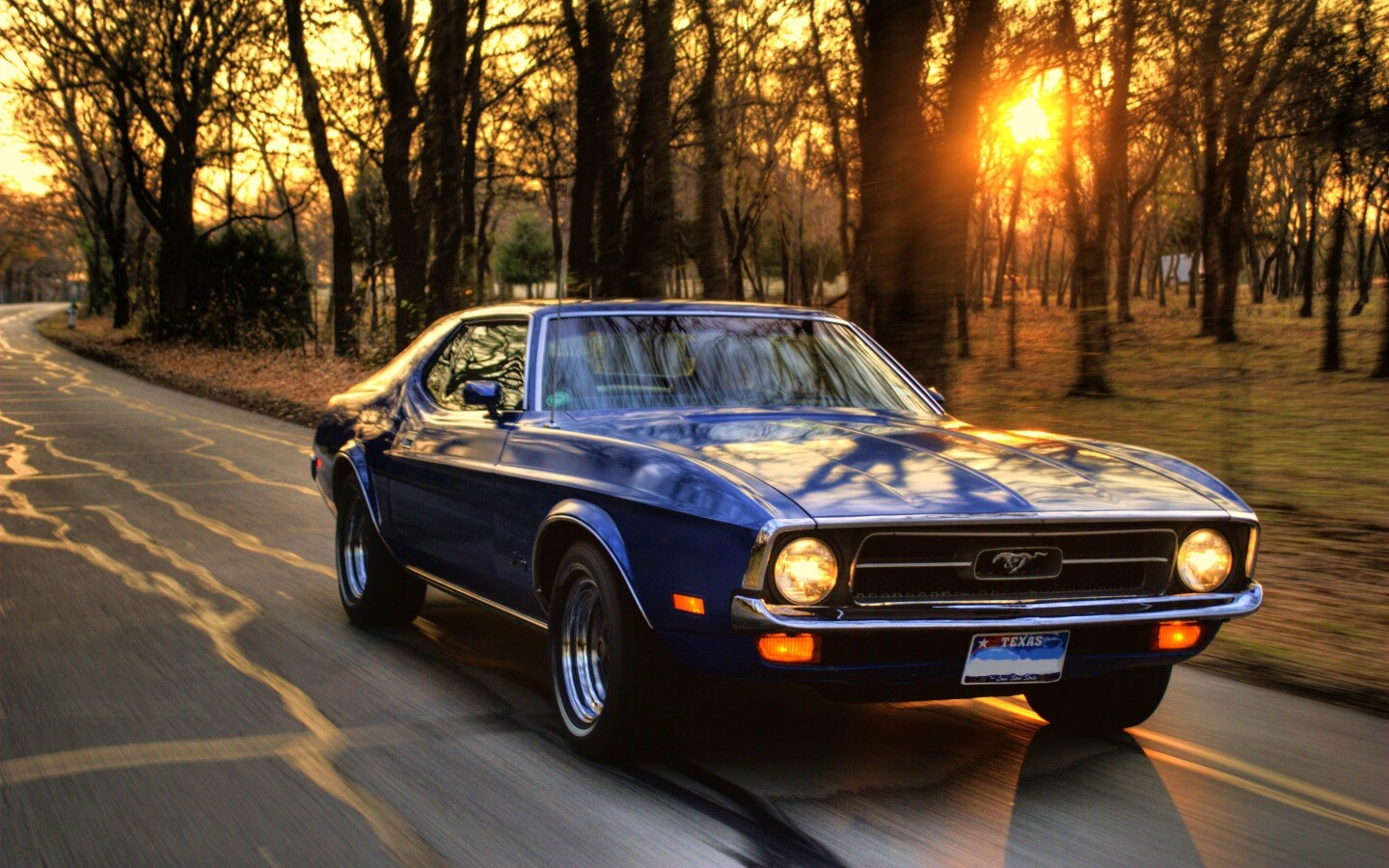 Мустанг обои