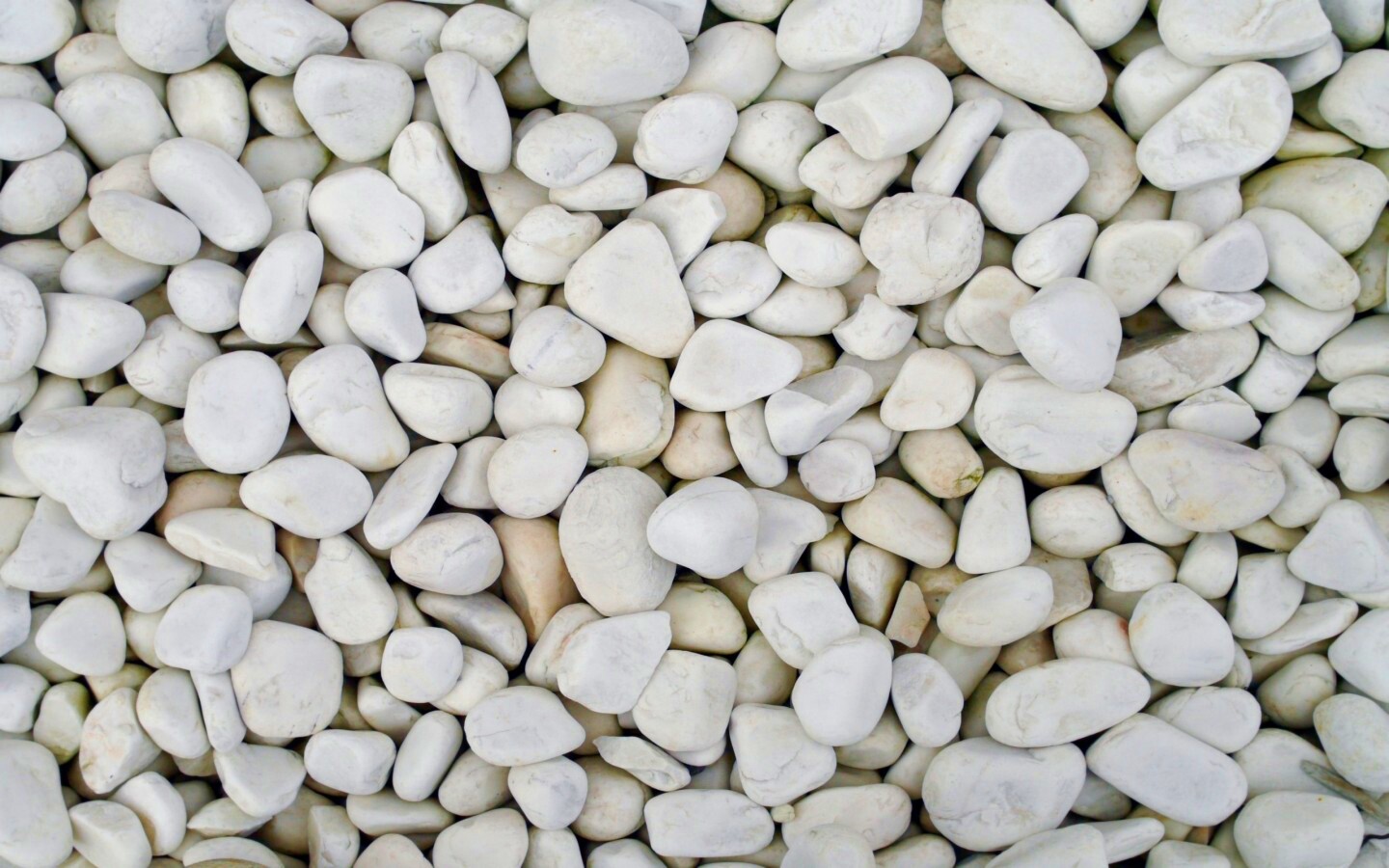 Крупная белая галька обои