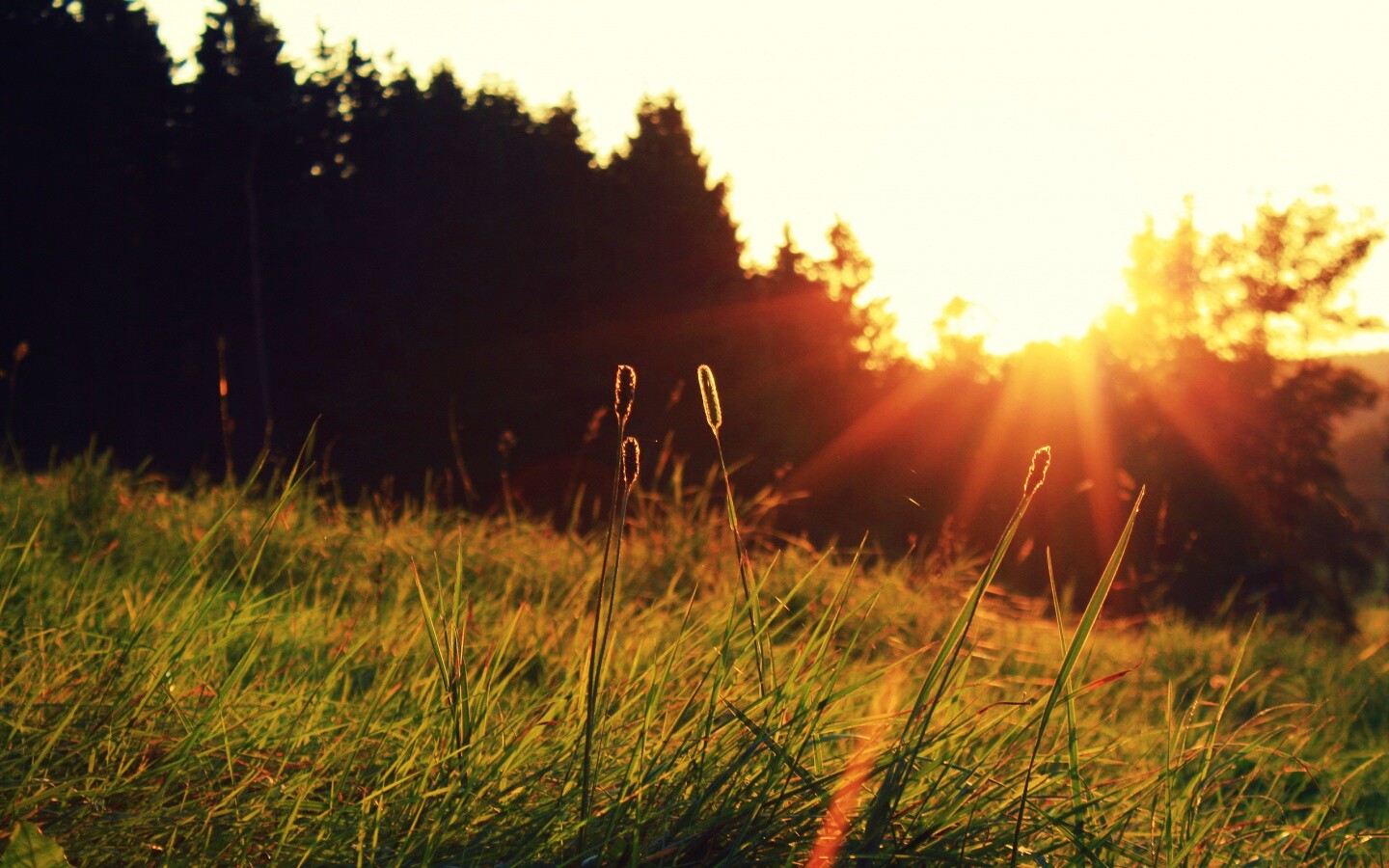 Красота природы обои