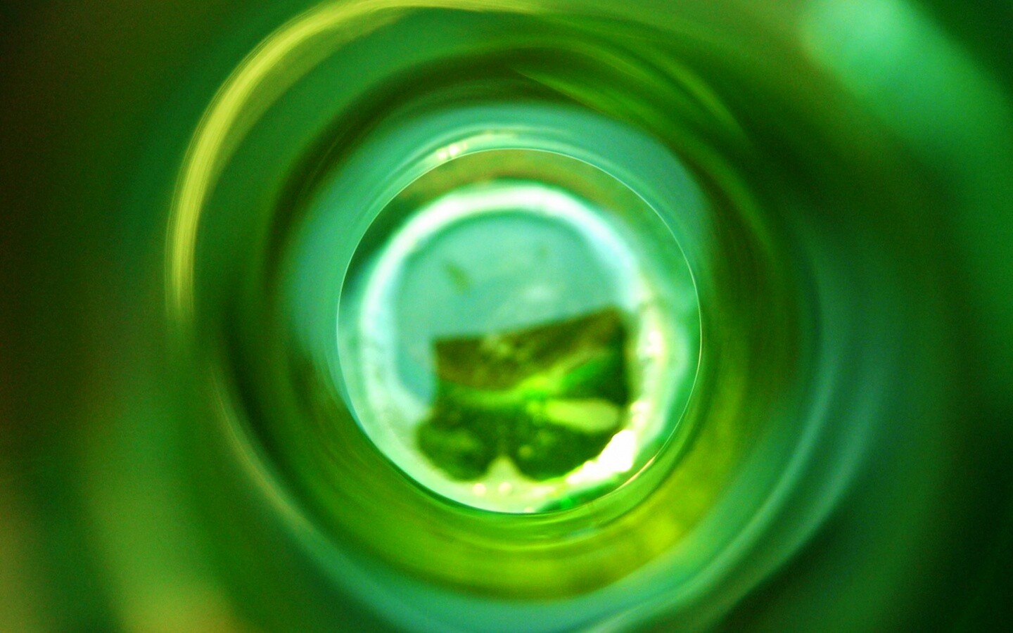 Зеленая бутылка обои