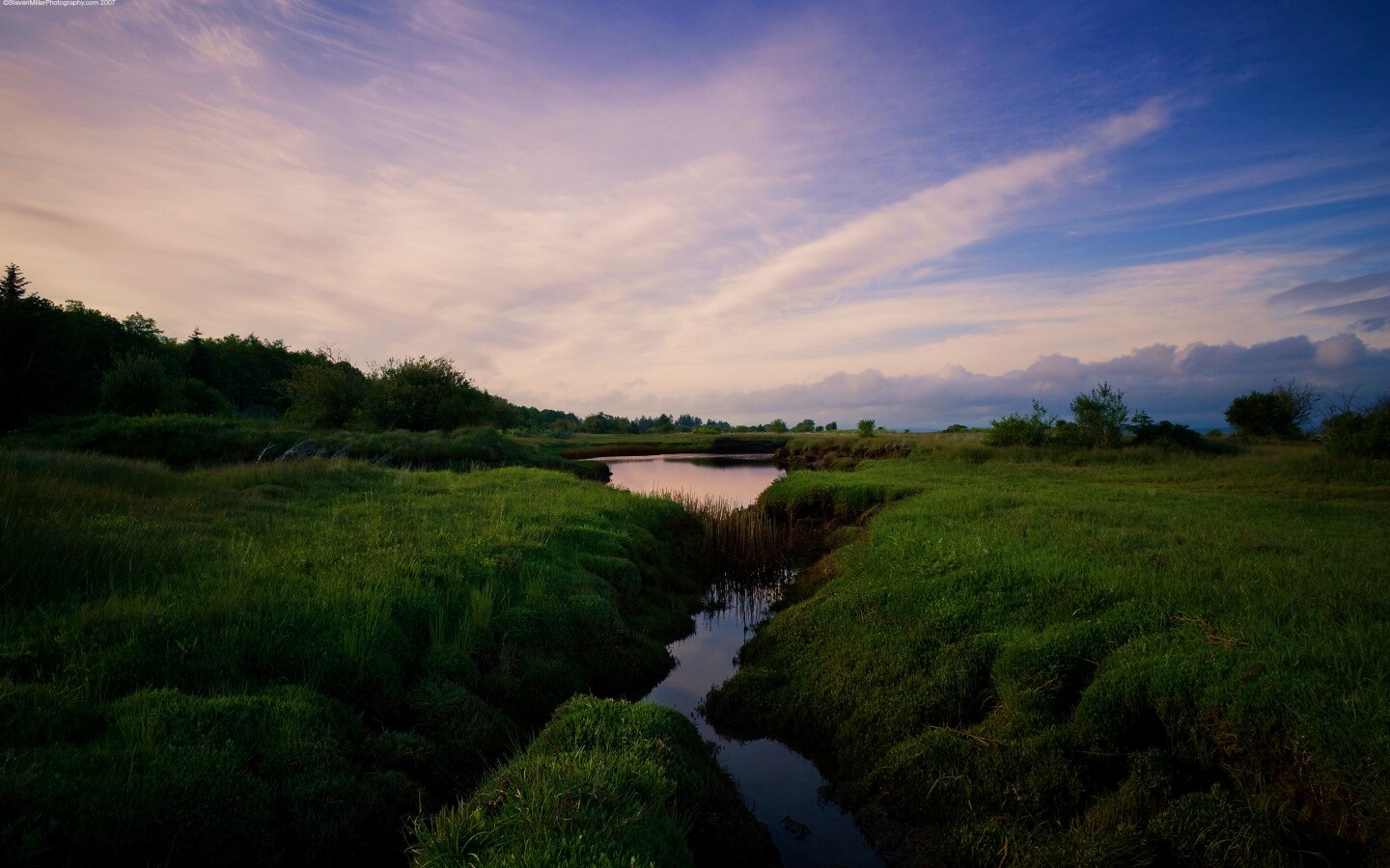 Канава и пруд обои