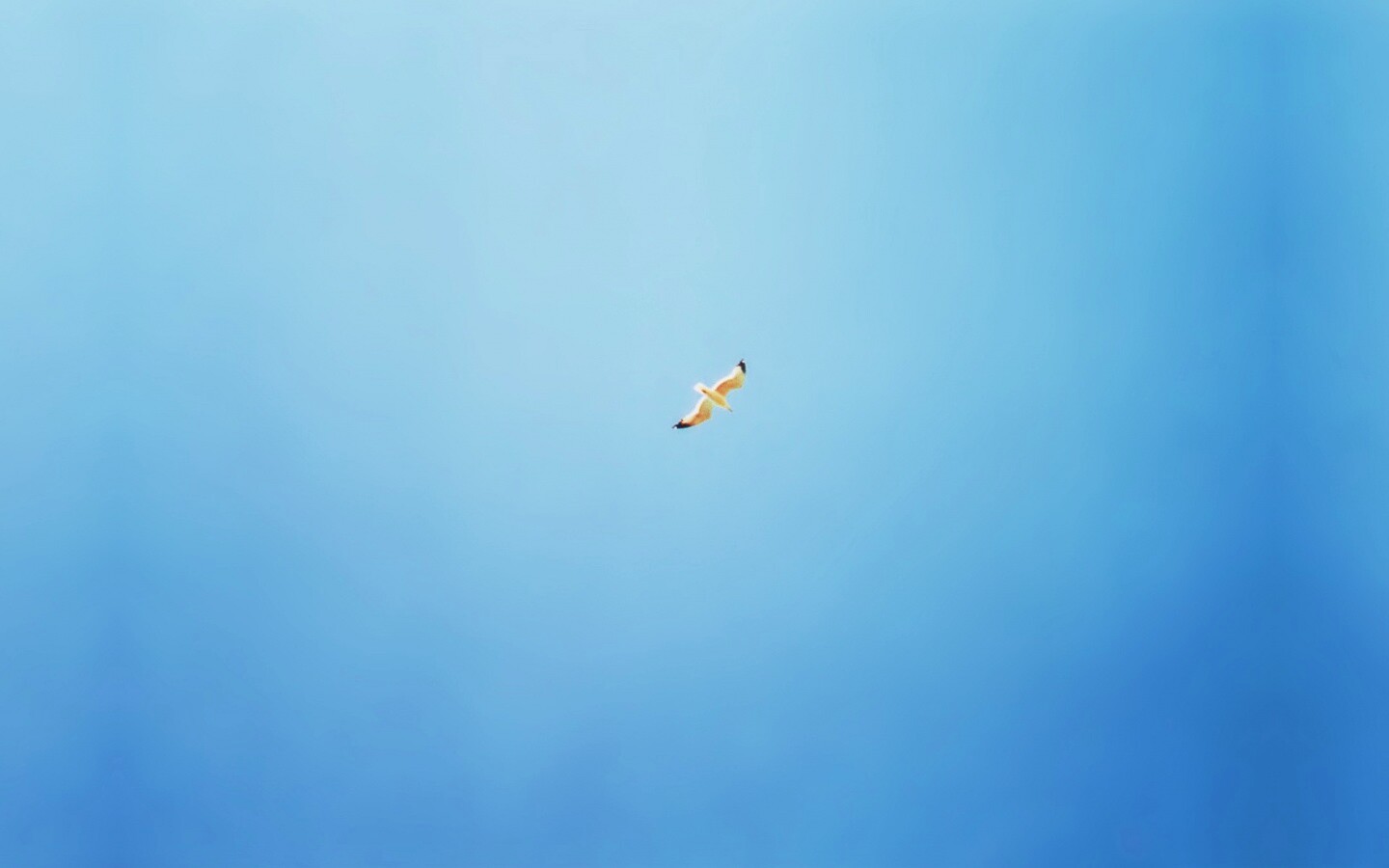 Полет  обои