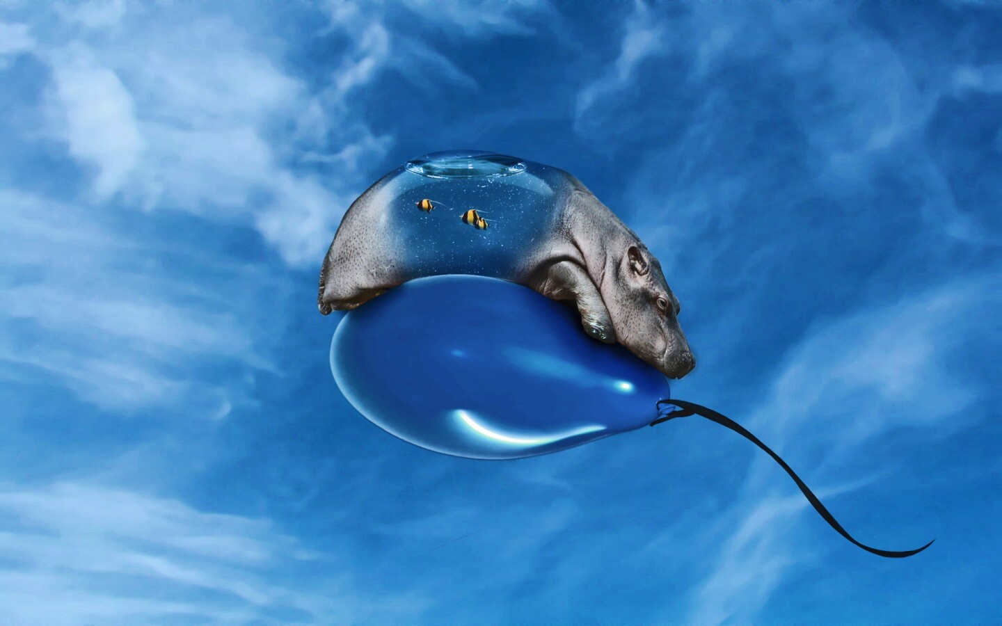 Водяной гиппопотам на шарике обои