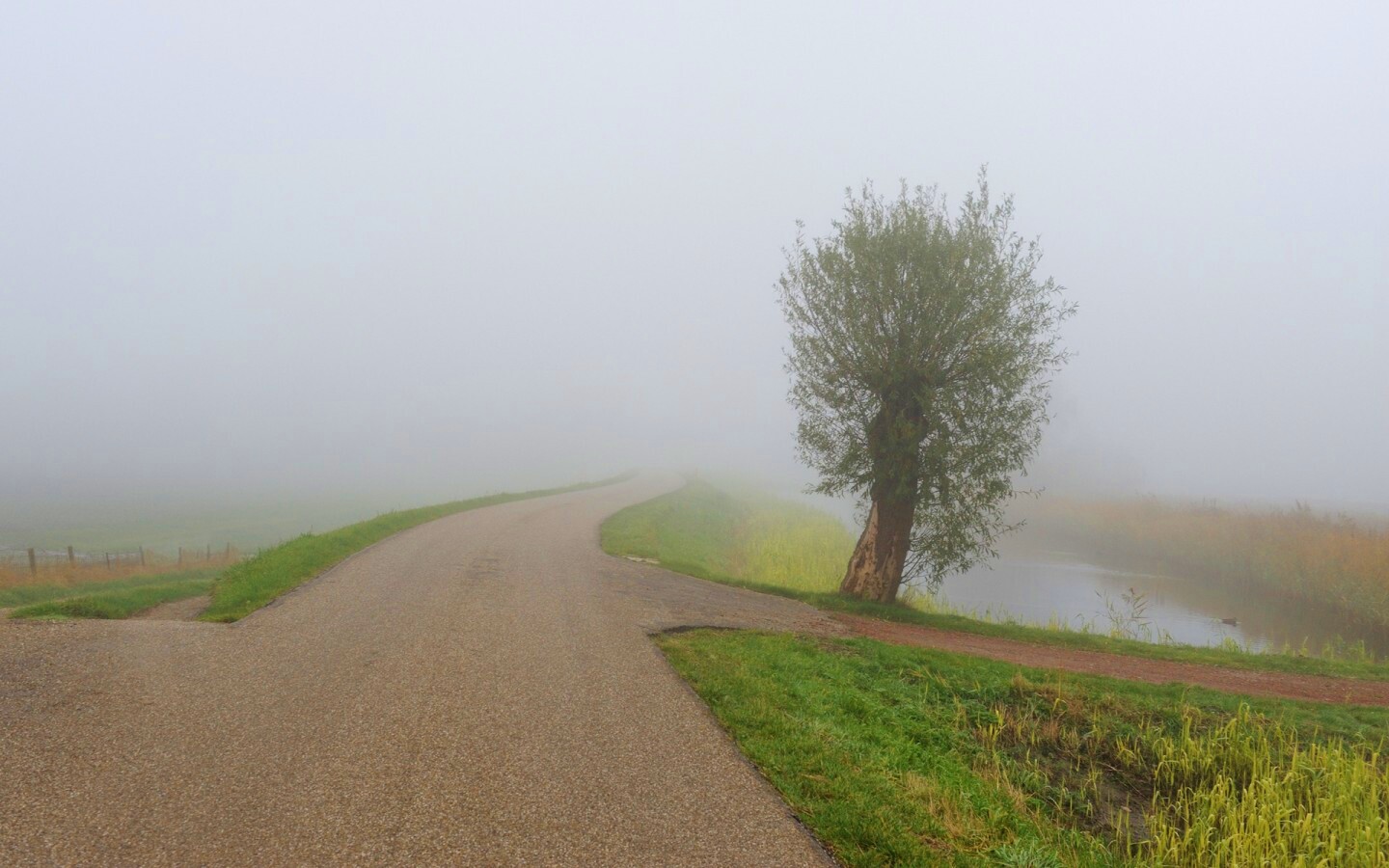 Дорога растворяется в тумане обои