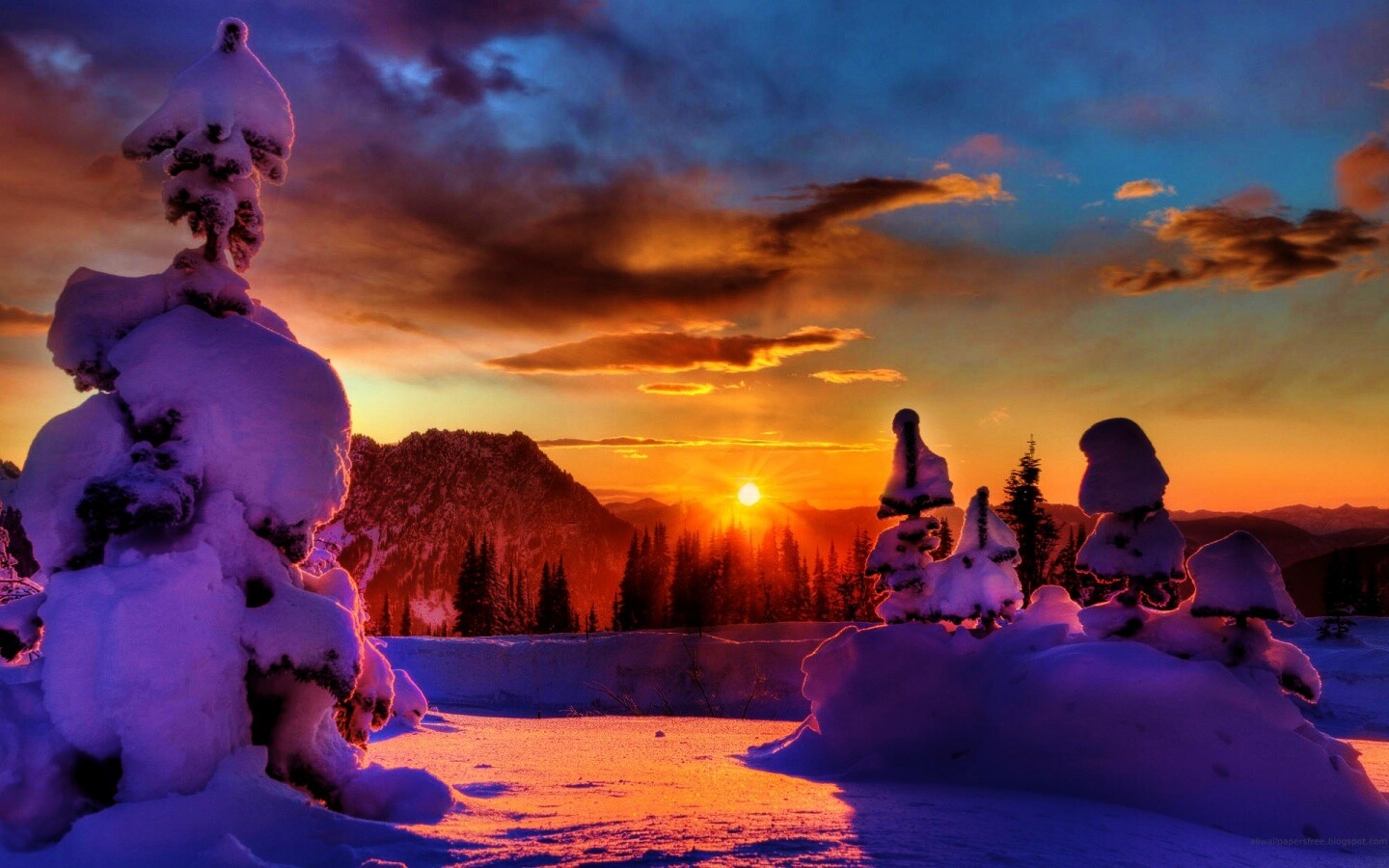 Зимнее солнце обои